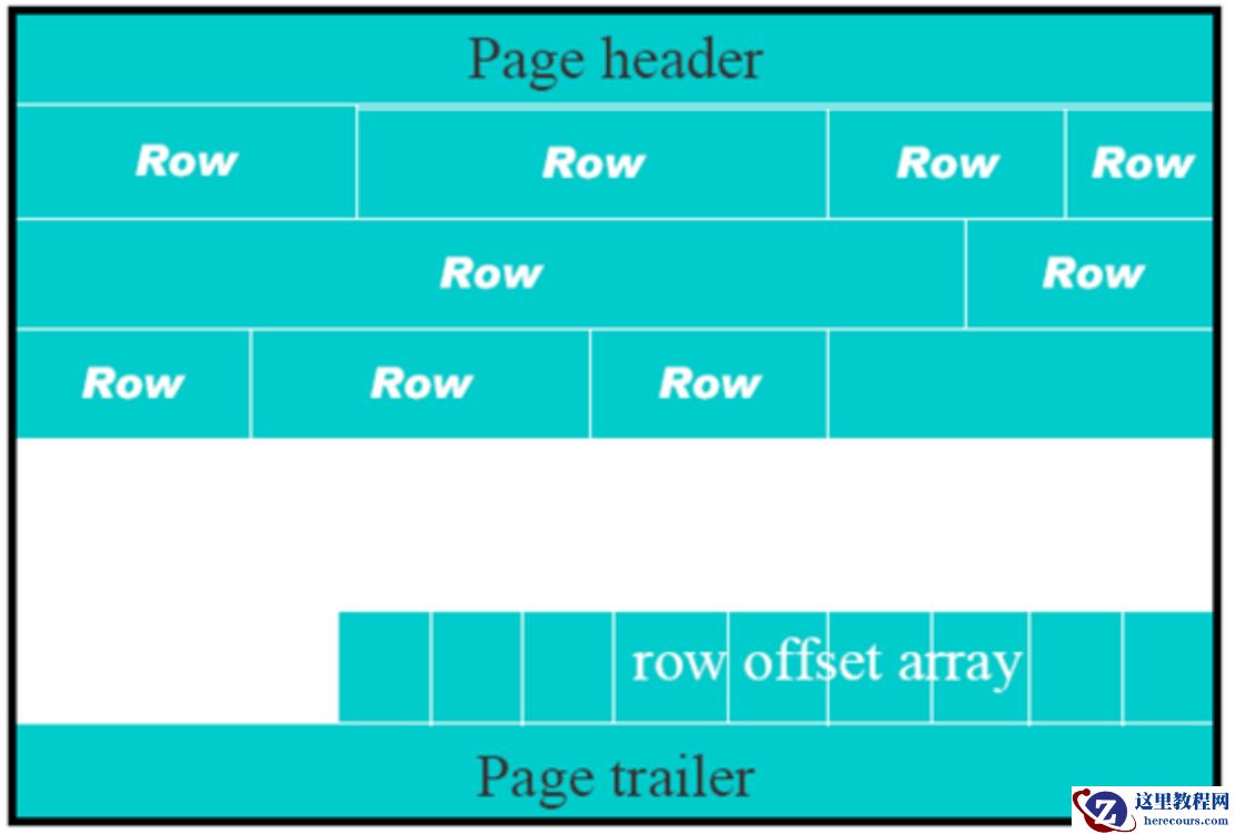 image-20220515215736916