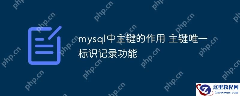 mysql中主键的作用 主键唯一标识记录功能
