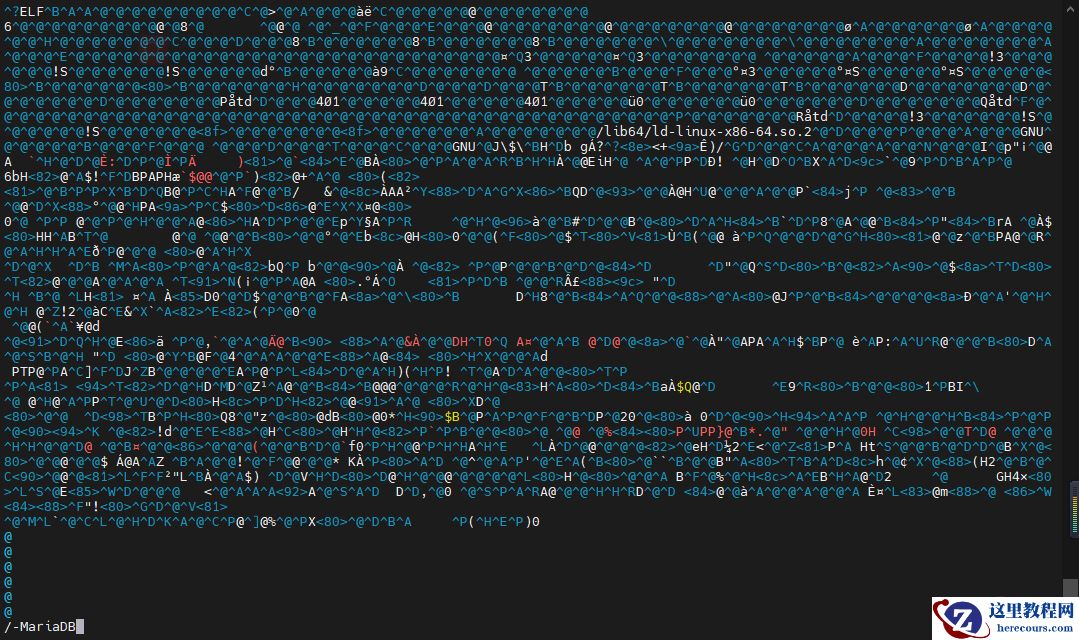 image-20220304210730310