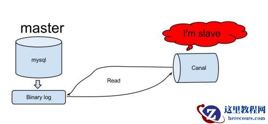 基于Docker与Canal怎么实现MySQL实时增量数据传输功能