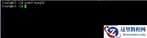 linux怎样查看mysql是否启动