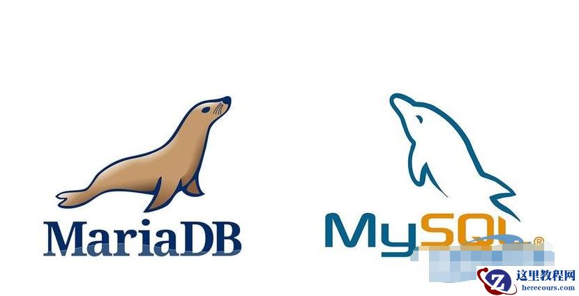 推荐10篇关于show的应用内容