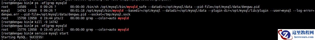 Linux环境下如何安装MySQL数据库