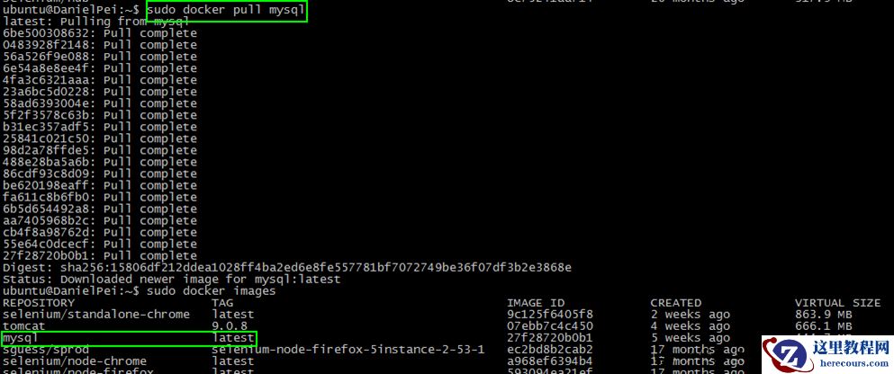 Docker如何创建MySQL