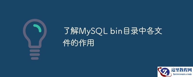 了解mysql bin目录中各文件的作用
