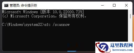 win11死机怎么解决？Win11的三个实用技巧系列之电脑死机解决办法