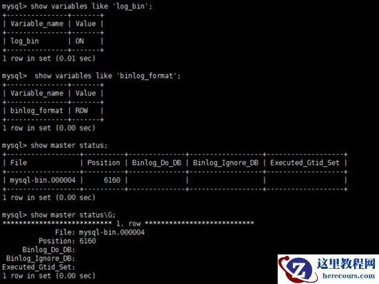 基于Docker与Canal怎么实现MySQL实时增量数据传输功能