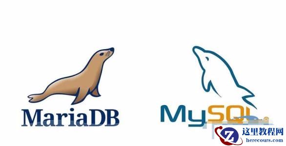 有关全文本搜索的课程推荐8篇