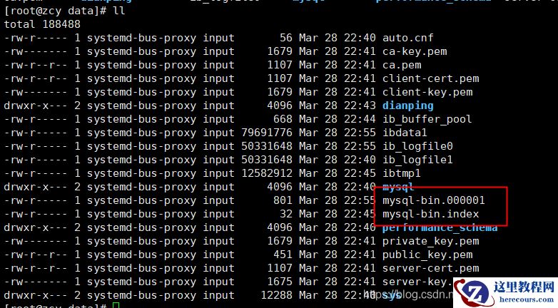 如何使用docker开启mysql的binlog日志解决数据卷问题