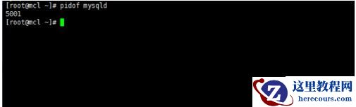 linux怎样查看mysql是否启动