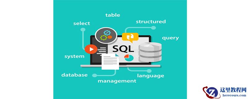 sql语言包含哪些部分