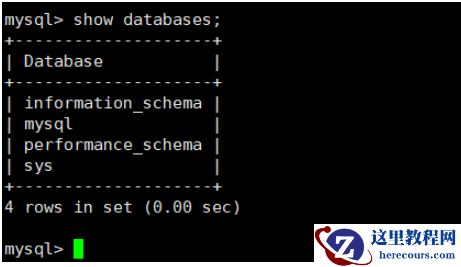 docker怎么部署mysql8并设置可远程连接