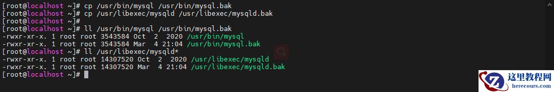 image-20220304210557680