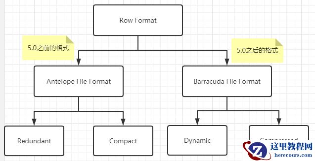 image-20220115104436695