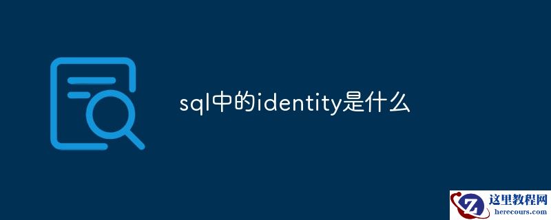 sql中的identity是什么