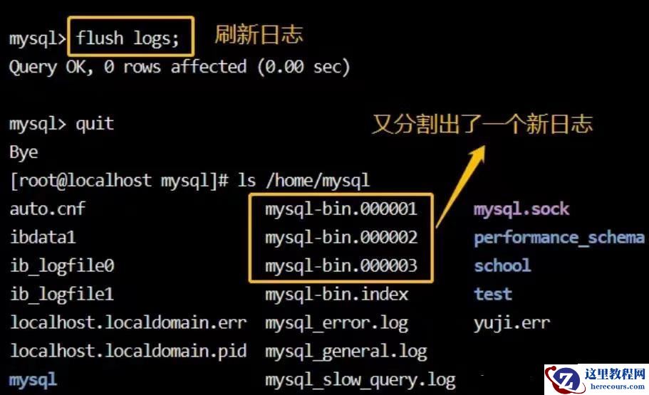 MySQL日志管理怎么配置