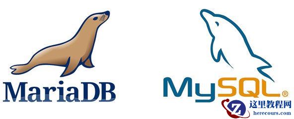 关于mysql_info()函数的10篇文章推荐