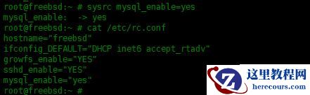 FreeBSD13中怎么安装MySQL数据库