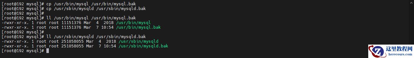 image-20220307105603753