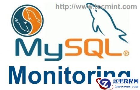 谈谈MyISAM的用法和区别文章汇总