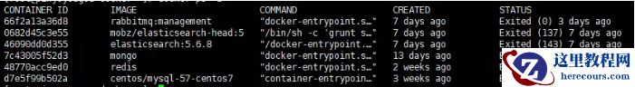 如何使用Docker创建Mysql容器