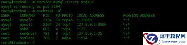 FreeBSD13中怎么安装MySQL数据库