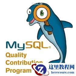 关于MySQL安装包如何使用的详细介绍