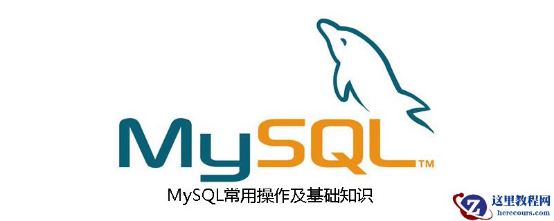 MySQL常用操作及基础知识