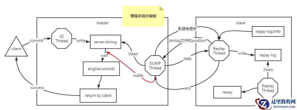 image-20220209184208146