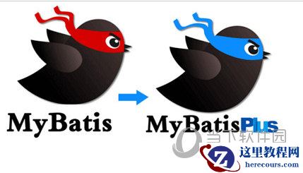 关于Batis的详细介绍