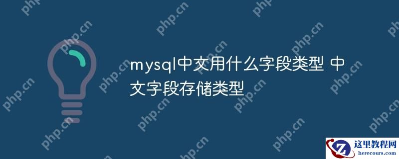 mysql中文用什么字段类型 中文字段存储类型