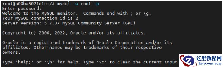 怎么修改docker容器中MySQL的用户密码