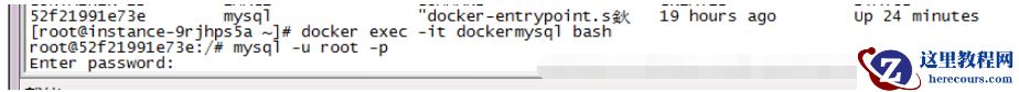 docker如何部署mysql实现远程连接