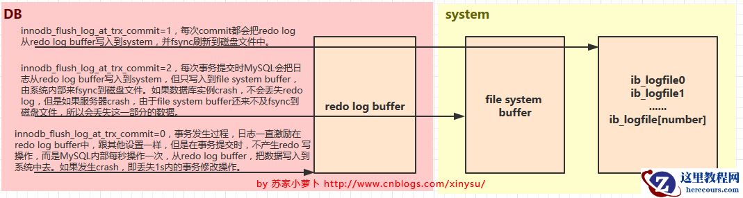 mysql日志文件undo log和redo log怎么设置