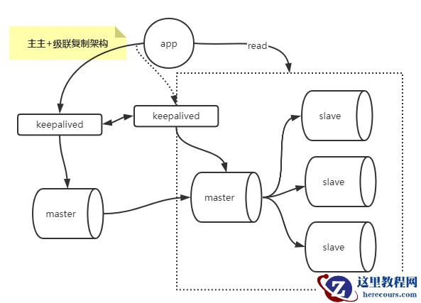 image-20220209185030818