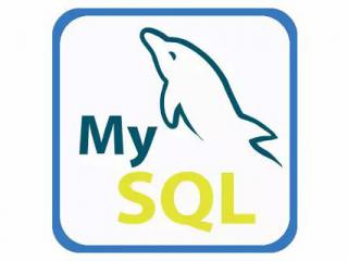 mysql中in使用索引吗