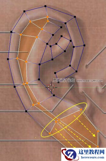 3Dmax建模教程：简单制作逼真耳朵模型