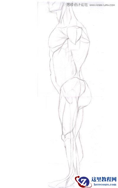 3ds max解析人体建模实例教程