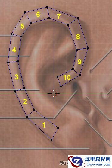 3Dmax建模教程：简单制作逼真耳朵模型