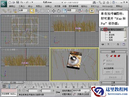 3ds Max教程：解析材质中的毛皮质感