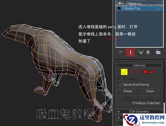 3ds MAX实例教程：多边形建模小狗
