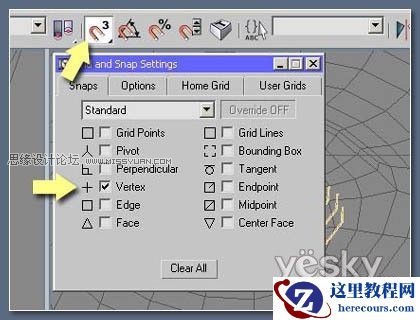 3DsMax教程:制作逼真美女眼睫毛的方法