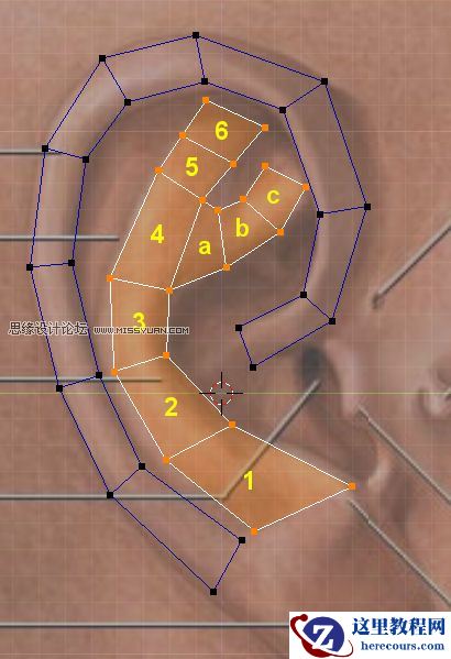 3Dmax建模教程：简单制作逼真耳朵模型