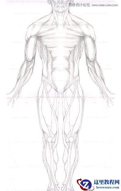 3ds max解析人体建模实例教程