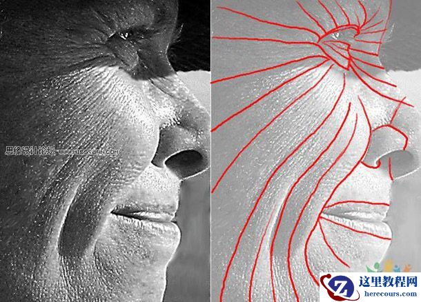 CG经典教程:成功做出真实的人头模型