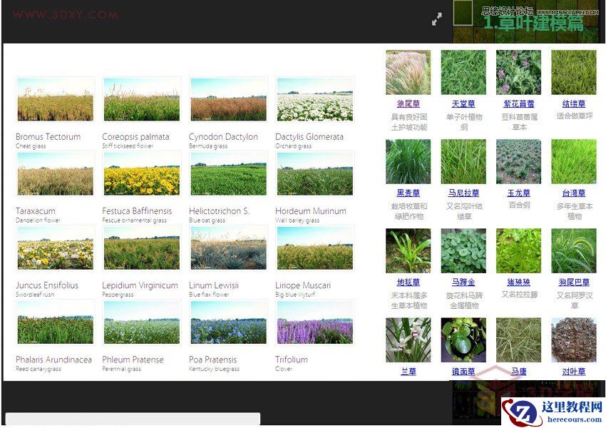 3DMAX详细解析真实草地效果图制作教程
