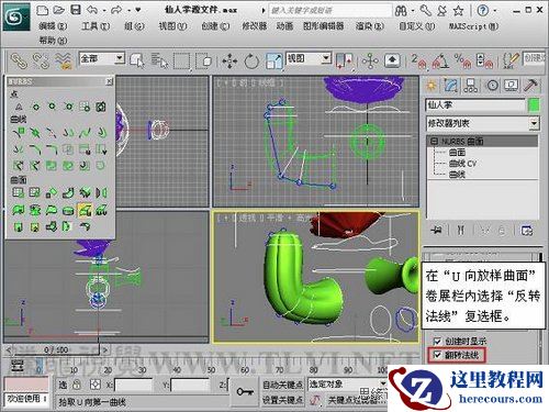 仙人掌的3DMAX NURBS建模教程