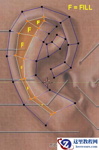 3Dmax建模教程：简单制作逼真耳朵模型