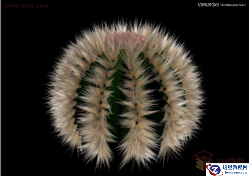 3DMAX详细解析仙人球快速建模的方法