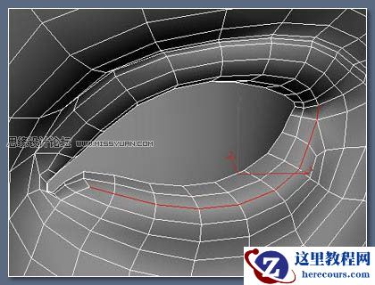 3DsMax教程:制作逼真美女眼睫毛的方法